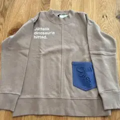 Item thumbnail for item a6837f1a-92ee-498e-98f3-6d10288dcf52