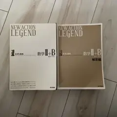 NEW ACTION LEGEND数学2+B