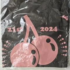 ひがしねさくらんぼマラソン　参加賞Tシャツ