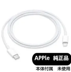 Apple純正 イヤフォン & Lightningケーブル