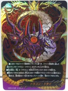 ドラゴン・ドライ　シークレット　バディファイト