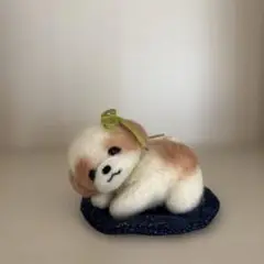 まったりおねむシーズーちゃん