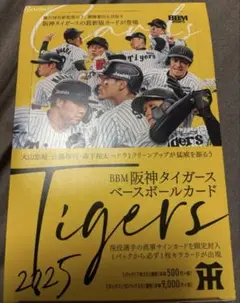 阪神タイガース BBM 2025 未開封15パックセット　1パック550 円