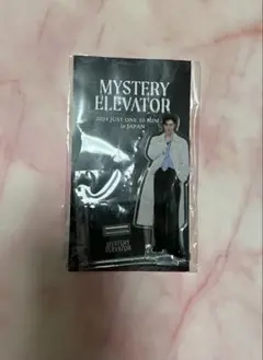 チャウヌ アクスタ MYSTERY ELEVATOR