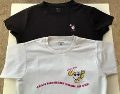 Item thumbnail for item d3cad451-4c69-4044-9cdb-97e1f92b5d61