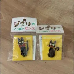 黒猫デザインピンズ2個セット