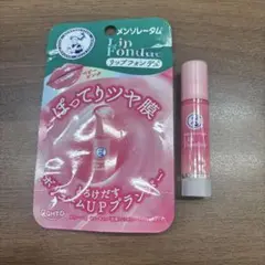 Item thumbnail for item 8f1d5fe3-5b23-490b-951c-0e3015d9588c