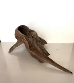 流木アート ナチュラルアートDriftwood Art20x50cmインテリアに