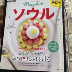 Mapple PLUSソウル コレが今、ソウルで話題なこと。