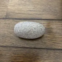 川で見つけました。