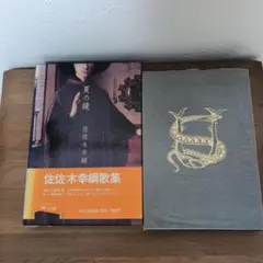 夏の鏡 佐佐木幸綱歌集