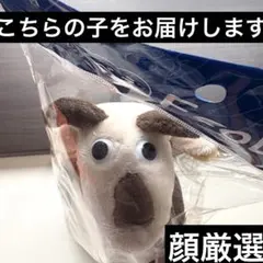 カルディ　やぎべぇ　やぎべえ　エコバッグ　限定品　新品未開封