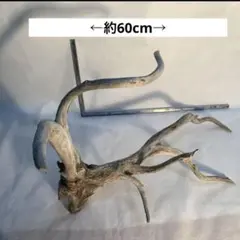 Item thumbnail for item 14db4407-c0e3-427a-908c-c90677766749