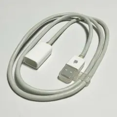 75.【希少】Apple純正 USB 延長ケーブル（TYPE-A）1m 正規品