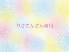 りさちんさん専用ページ