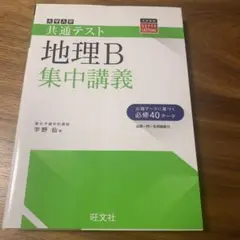 地理B 集中講義 旺文社　共通テスト　大学受験
