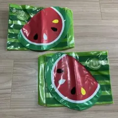 スイカ　浮具　アームリング
