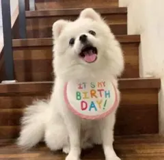 Item thumbnail for item fb0f072e-0678-4407-af03-007d9aa35583