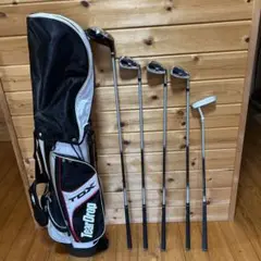 Item thumbnail for item 678e2860-3b5e-4daa-a708-6ad8e090a9b4