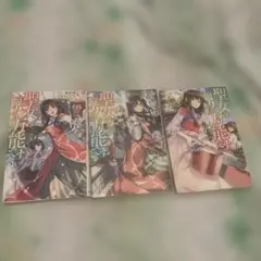 聖女の魔力は万能です 全3巻セット