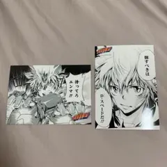 【最終値下げ】沢田綱吉