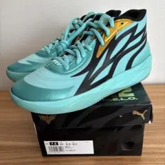 26.5