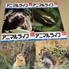 アニマルライフ 雑誌セット 71, 80, 82, 83