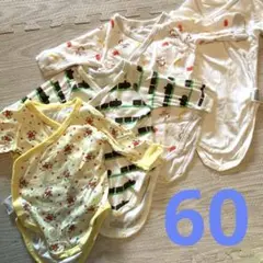 Item thumbnail for item 680faa12-28be-4057-9c91-617c29a73442