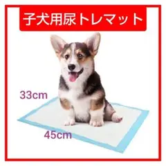 Item thumbnail for item 470bf26c-7195-46e6-9b37-ddfabea958e2