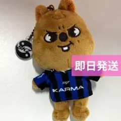 即発送 StrayKids ハン クオッカ ぬいぐるみ KARMA SKZOO