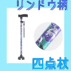 Item thumbnail for item 01022b59-2212-4521-9cdb-fa5d8844ff4e