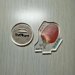 ハイキュー