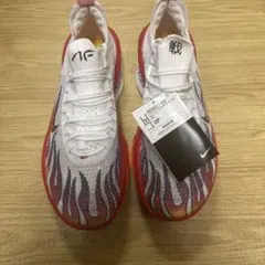 Item thumbnail for item 8ab18e5a-5e95-4e21-95d3-ccc351703748