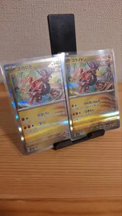 コライドン 2枚セット
