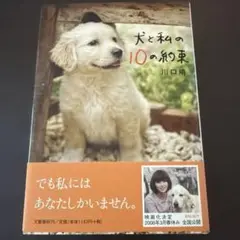 犬と私の10の約束