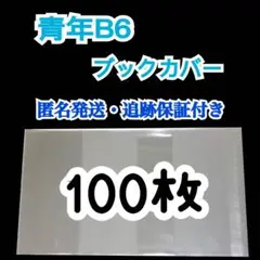 B6漫画青年TL女性BL クリアブックカバー 100枚