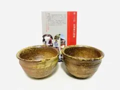 Item thumbnail for item 22e95689-783d-4cc2-95b7-b0ad6f2130ee