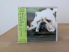 新品ダイナソーJR./クール・ウィズ・ミー 見本品（非売品）dinosaur