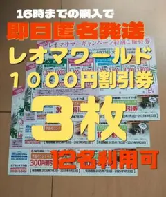 レオマワールド レオマサマーキャンペーン特別ご優待券 ３枚12名 フリーパス