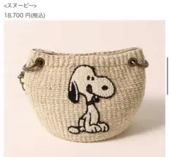 【美品】スヌーピー　かごバッグ　アバカ ハンドポーチ カフェ限定品