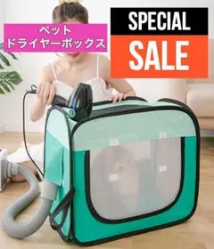 Item thumbnail for item 74ac1181-b0de-4b64-8435-1b1703bd1146