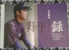 花巻東高校 野球部 ユニホーム TEAM ウェア L位 デサント Amazon.co.jp: 岩手 花巻東高校 ユニフォーム型Tシャツ 甲子園