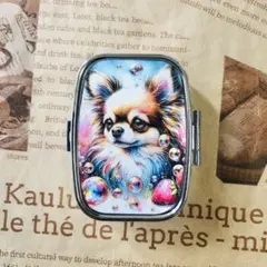 P752 ハンドメイド ピルケース 薬箱 小物入れ　チワワ　苺　可愛い　泡