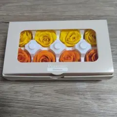 Item thumbnail for item 299d6776-cc89-4cd4-a413-cf2d7b3320b5