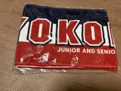 Item thumbnail for item b7bfea58-6bba-4e2f-ad12-0ed37f264633