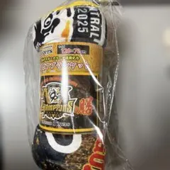 Item thumbnail for item 5144fa40-d069-4063-b3af-7e57be6d4614