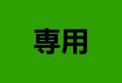 専用出品