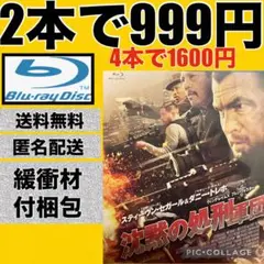【レンタルアップ品】沈黙の処刑軍団('13米)