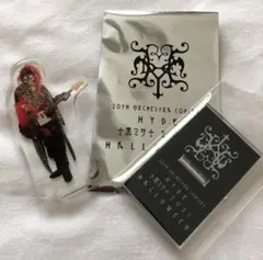 HYDE RUN アクリルキーホルダー（ハロウィンキング ver） HYDE RUN アクリルキーホルダー（ハロウィンキング ver） HYDE