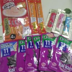 チャオちゅ~る☆猫 おやつ フード いなば カルカン パウチ 三ツ星グルメ